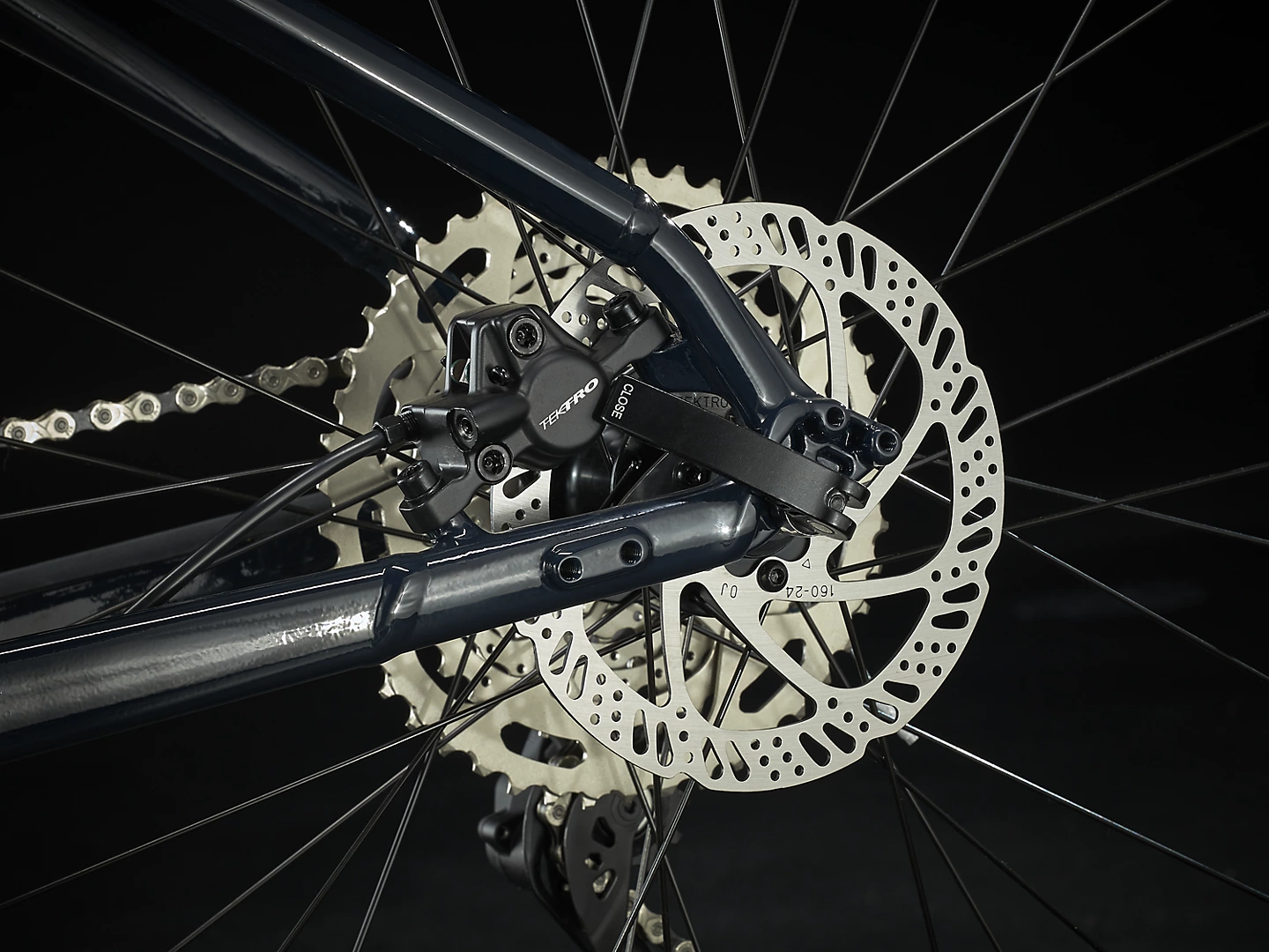 Marlin6_22_35066_D_Alt5